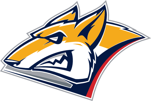 Metallurg Magnitogorsk 2012 Alternate logo iron on heat transfer